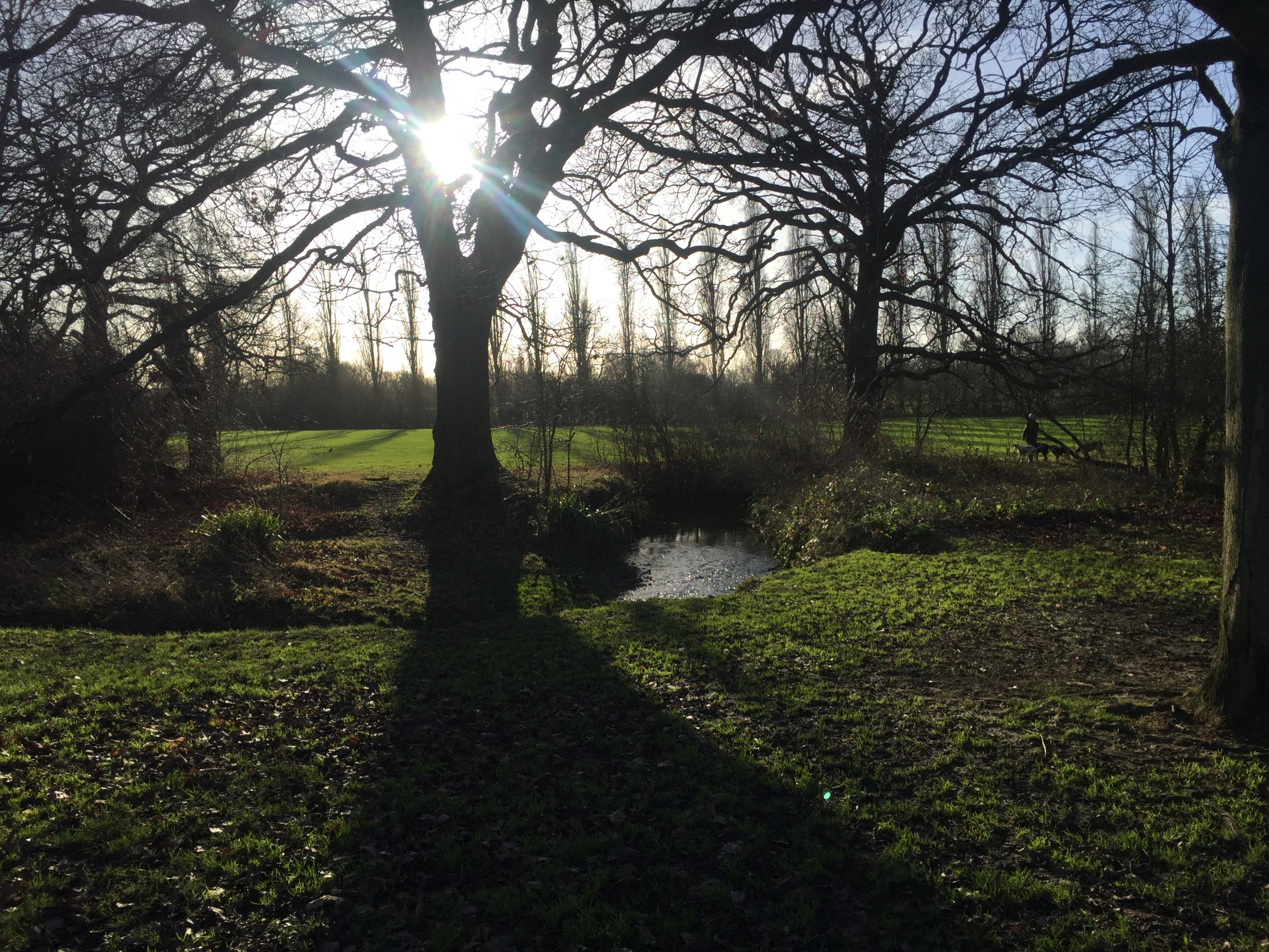 Barnet King George Playing Fields