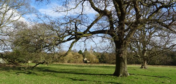 Bulwick and Harringworth