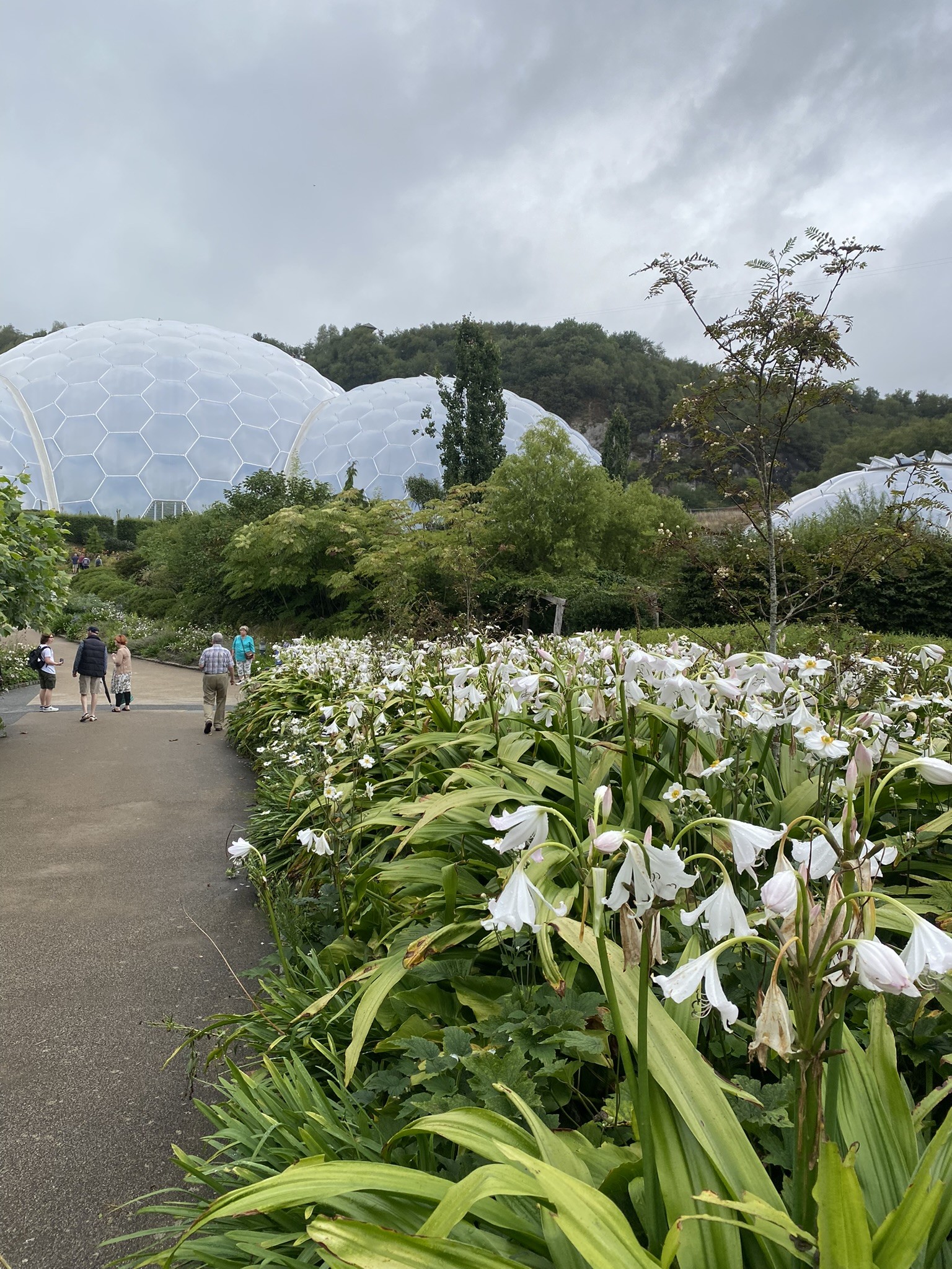 Plant ID - Devon 2022