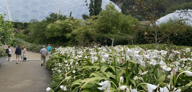 Plant ID - Devon 2022