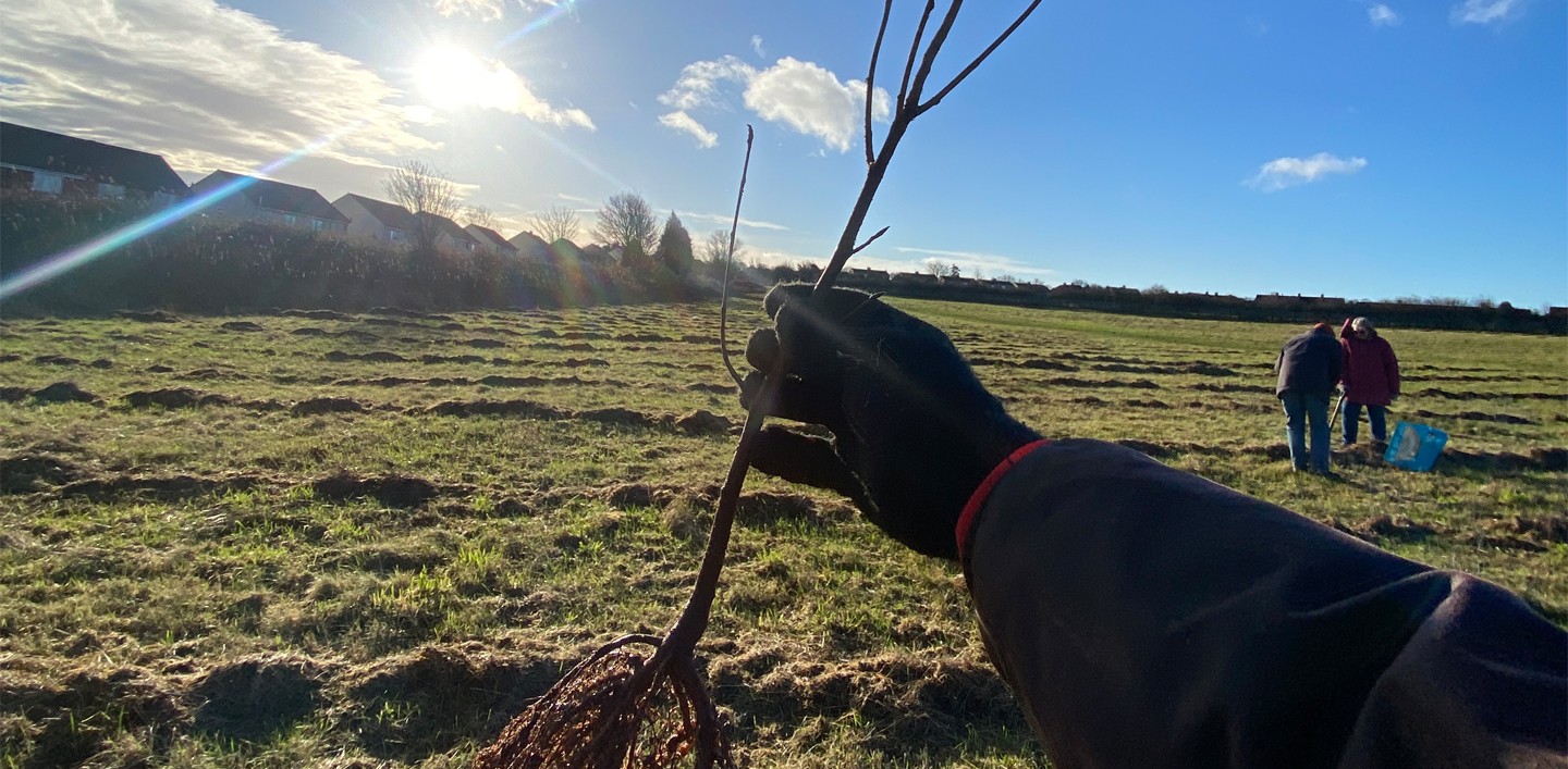 Whitehills Volunteering Part II