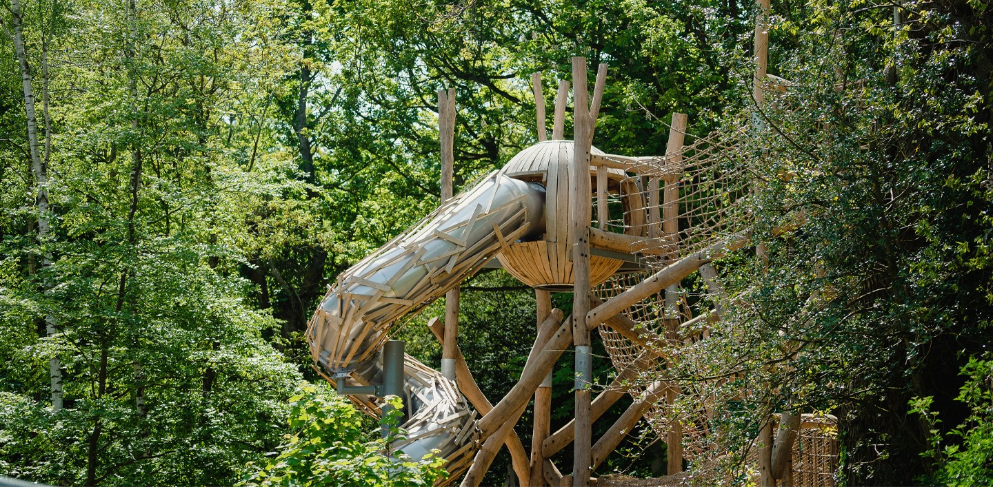 Belsay Awakes - Adventurous Play