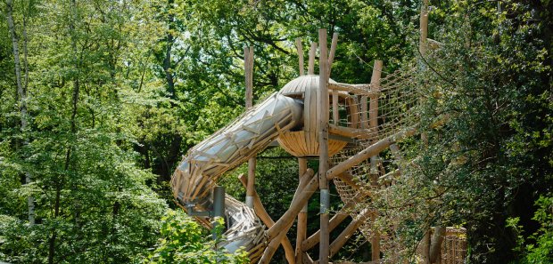 Belsay Awakes - Adventurous Play