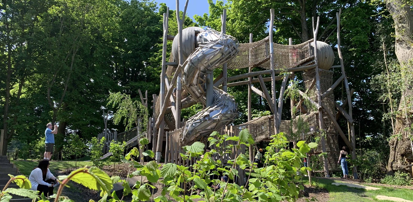 CENE Awards Winner - Belsay Awakes