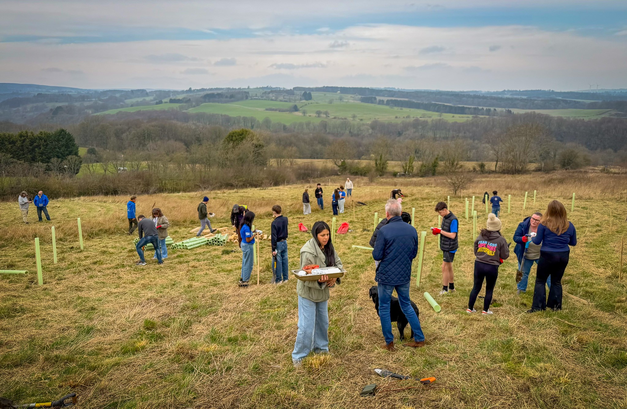 New woodland project - Creating a space for nature, learning, and community